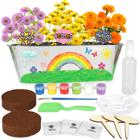Miracle Gro Paint and Plant My First Flower Growing Kit